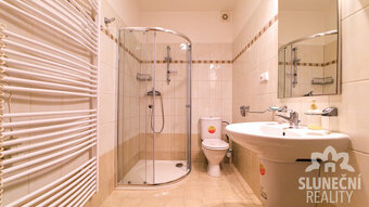 Pronájem bytu 1+1, 42 m², Staré Město - Brněnská - 5