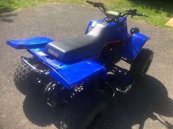 Yamaha Banshee 350 - 5