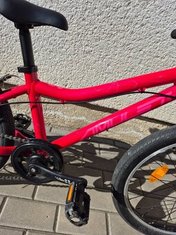 Amulet tomcat 20" - 5