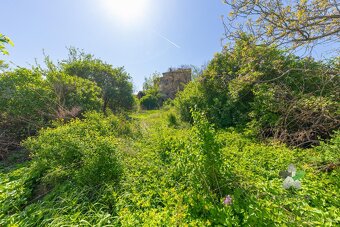 Prodej, komerční objekt, Brankovice - 5