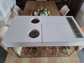Terarium - 5