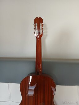 Nová kytara - 5