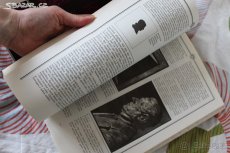 Sběratelství - Helena Brožková - 5