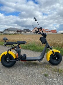 Elektrokoloběžka Lera Scooters C1 1000W - 5