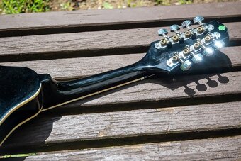 Folková mandolína + polstrovaný gig bag - 5