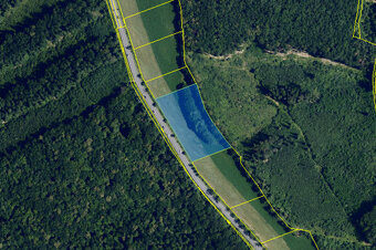 Prodej pole, 7750 m2, Žarošice, u místní části Zdravá Voda - 5