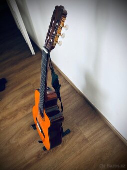 Jasmine Takamine - 5