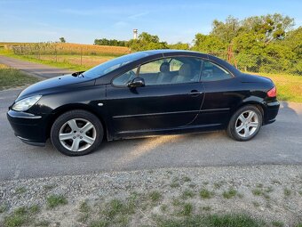 Peugeot 307 cc, 2004, 2.0, benzin, stk 06/2027 - 5