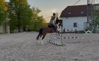 top pony valach pro dítě - 5