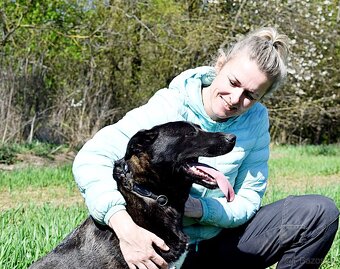 ALLEGRA K ADOPCI-2 ROKY, MILÁ,VDĚČNÁ,ODDANÁ - 5