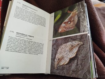 Entomologická kniha - 5