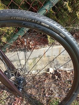 Giant revolt 1 vel.M - 5