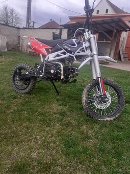 Pitbike 125 Buffler d125y - 5