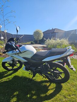 Honda CBF 125 - 5
