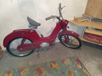Jawetta 551 - 5