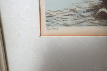 Junek Váslav - Loď Esperanza - 5