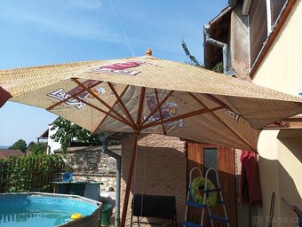 Slunečník kozel - 5