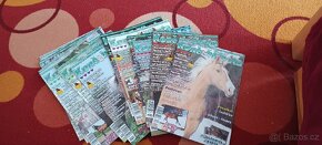 Koně a hříbata 37 kusů, plakáty+pohlednice - 5