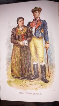 Květy 1885-1889 - 5