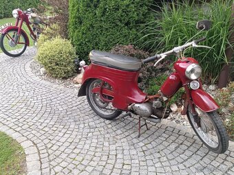 Jawa 50/555 r.v. 1959, původní lak - 5