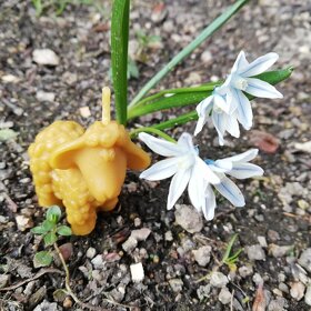 Velikonoční svíčky ze včelího vosku - 5