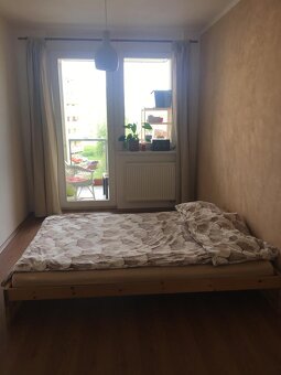 Byt 2+kk Brandýs nad Labem - 5