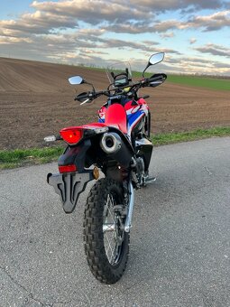 Honda CRF300L Rally, r.v. 2024 - 5