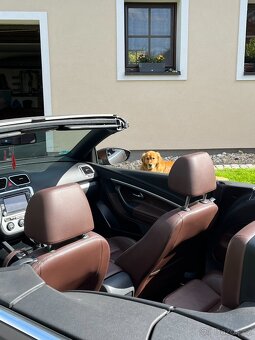 Volkswagen Eos 1.4 TSI, cabrio, Edition 2009 - 5