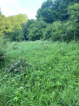 Pronajmu zahradu - 5