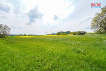 Prodej pole, 6672 m², Pláň, Ostrov u Bezdružic - 5