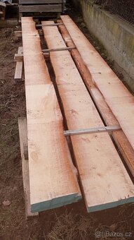Jasan, olše, třešeň , ořech,smrk, borovice - 5