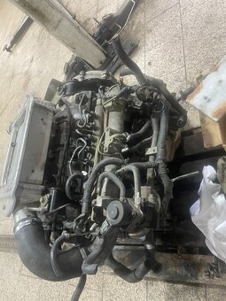 motor Nissan x-trail 2,2 84KW YD22 - 5