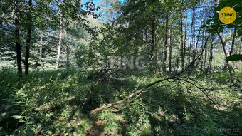 Prodej zahrady a louky 4381 m2 v Horní Datyni , 133068 - 5