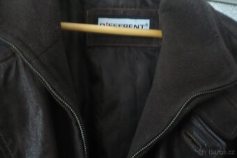 stříbrná liška a kožený kabát - 5