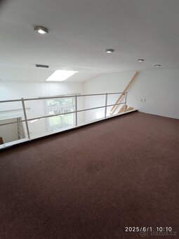 Atelier - novostavba 1kk 22m2 + 10m2 se zahrádkou Vršovice - 5