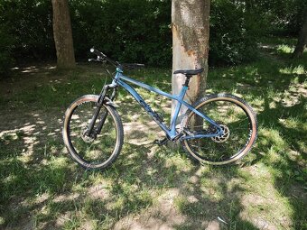 Ctm zephyr pro 29 2023 - 5