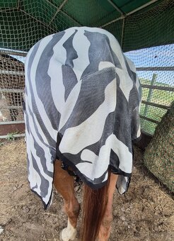 Deka síťovaná BucasBuzzOff Full Neck ZEBRA
Vyberte barvu - 5