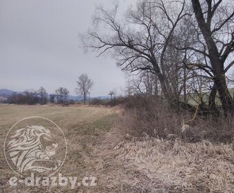 Dražba rybníku 7,7 ha a pozemky v obci Všepadly, okres Domaž - 5