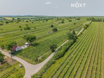 Prodej pozemek Sady/vinice, 2318㎡ - 5