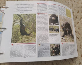 Encyklopedie zvířat 3 svazky - 5