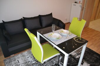 PRONÁJEM BYTU 1+KK - 5