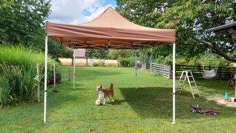 Párty stan 3x4.5m - 5