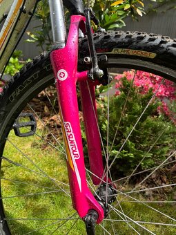 Specialized MYKA dětské horské kolo 26 - 5
