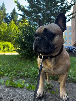 Nabízíme krytí - 5