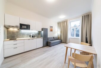 Стильна 2kk квартира в центрі Праги (Žižkov) - 5