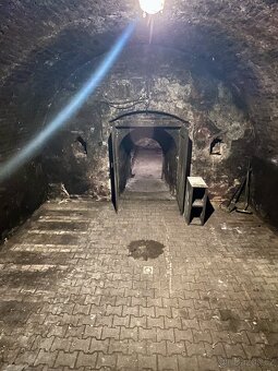 Prodej vinného sklepa - Brod nad Dyjí - 5