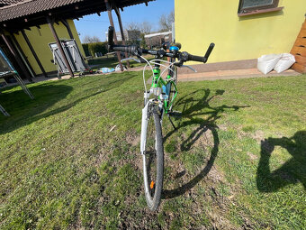 Kolo Cross 16" / 28" - 5
