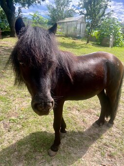 Mini pony valášek - 5