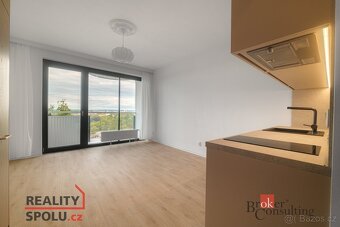 Pronájem, byty/1+kk, 34 m2, U Borského parku 3060/18, Jižní - 5