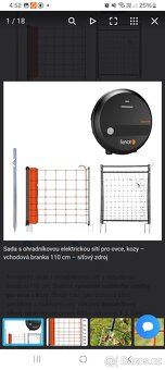 Dorper - jehnička a beránek - 5